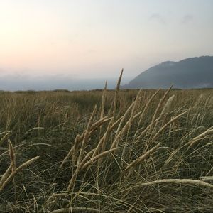 Meet your Posher, Meagan